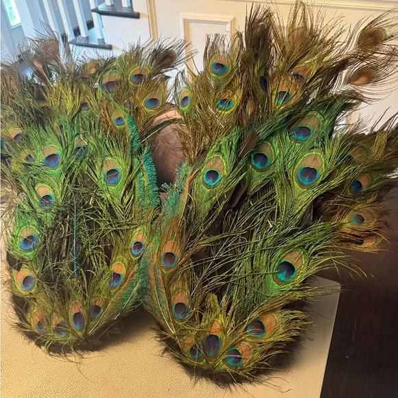 Elegant Peacock Feather wings for Halloween costume or masquerade - Picture 2 of 4